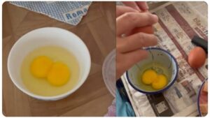 Egg Identifying Tips